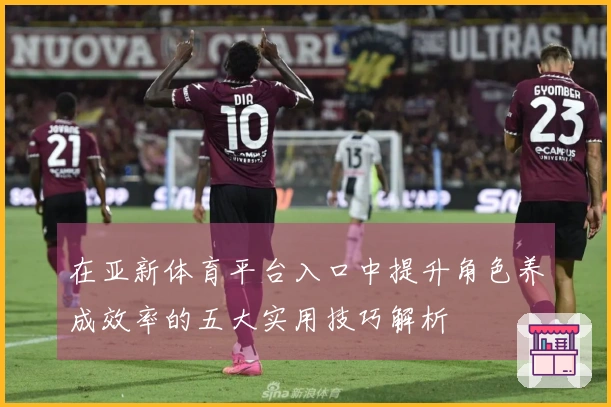 在亚新体育平台入口中提升角色养成效率的五大实用技巧解析