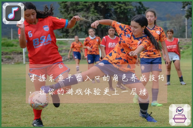 掌握乐鱼平台入口的角色养成技巧，让你的游戏体验更上一层楼