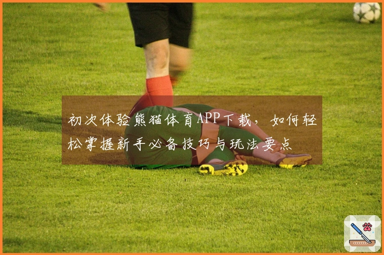 初次体验熊猫体育APP下载，如何轻松掌握新手必备技巧与玩法要点